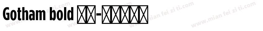 Gotham bold 粗体字体转换